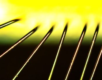 Multiple Sample Etching in PlasmaEtch